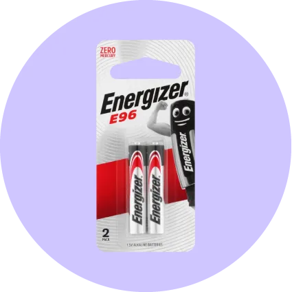 Disposable Household Batteries