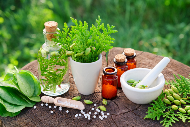 Benefits of Herbal Medicine