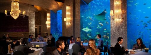 The Most luxury Restaurants in Dubai